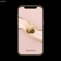 iPhone 16 Plus